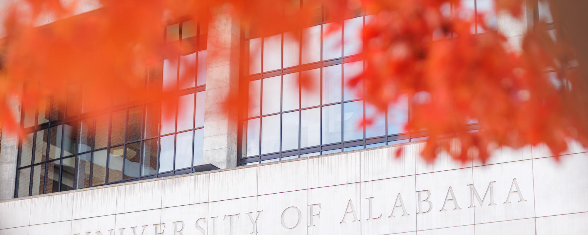 fall leaves over University of Alabama signage