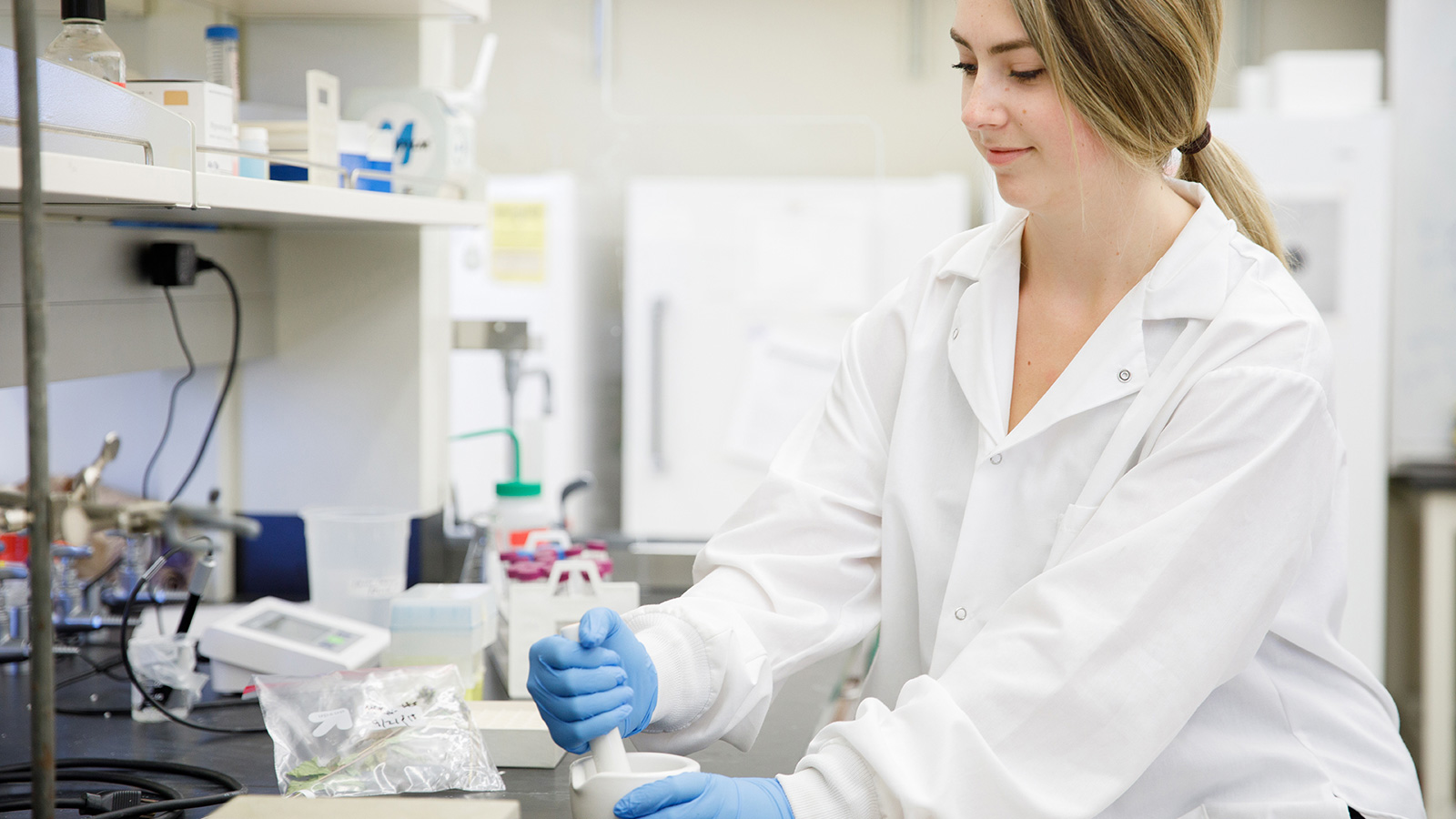 student researcher working with a mortar and pestle at a lab bench